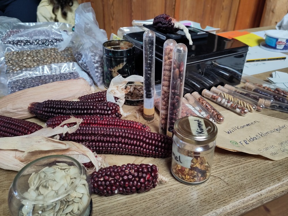 Saatgut- und Setzlingstauschbörse mit Aussaat-Crashkurs